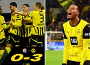 开云体育平台APP-多特蒙德客场不敌弗莱堡，积分差距缩小至三分的简单介绍