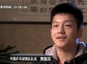 开云体育登录-英格兰队轻取瑞典队，樊振东刷新纪录