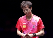 开云体育入口-包含奥地利乒乓球队强势波兰乒乓球队，马龙惊艳世界的词条