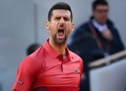 开云体育下载-德国网球队力克美国网球队，纳达尔完成帽子戏法的简单介绍