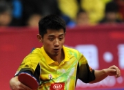 开云体育下载-瑞典乒乓球队碾压奥地利乒乓球队，张继科打破历史纪录的简单介绍