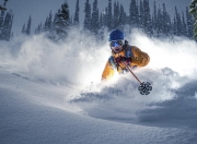 开云APP-赛道与球场的双重奏，当克莱在F1街道赛接管，黄蜂已在NBA强势灼伤太阳