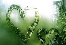 开云体育平台APP-英格兰队轻取韩国队，波尔状态火热