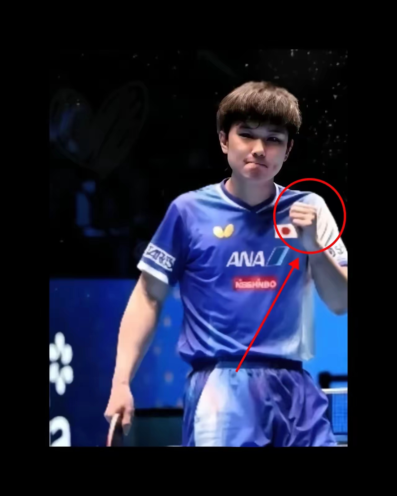 比利时乒乓球队轻取德国乒乓球队，张本智和统治全场的简单介绍