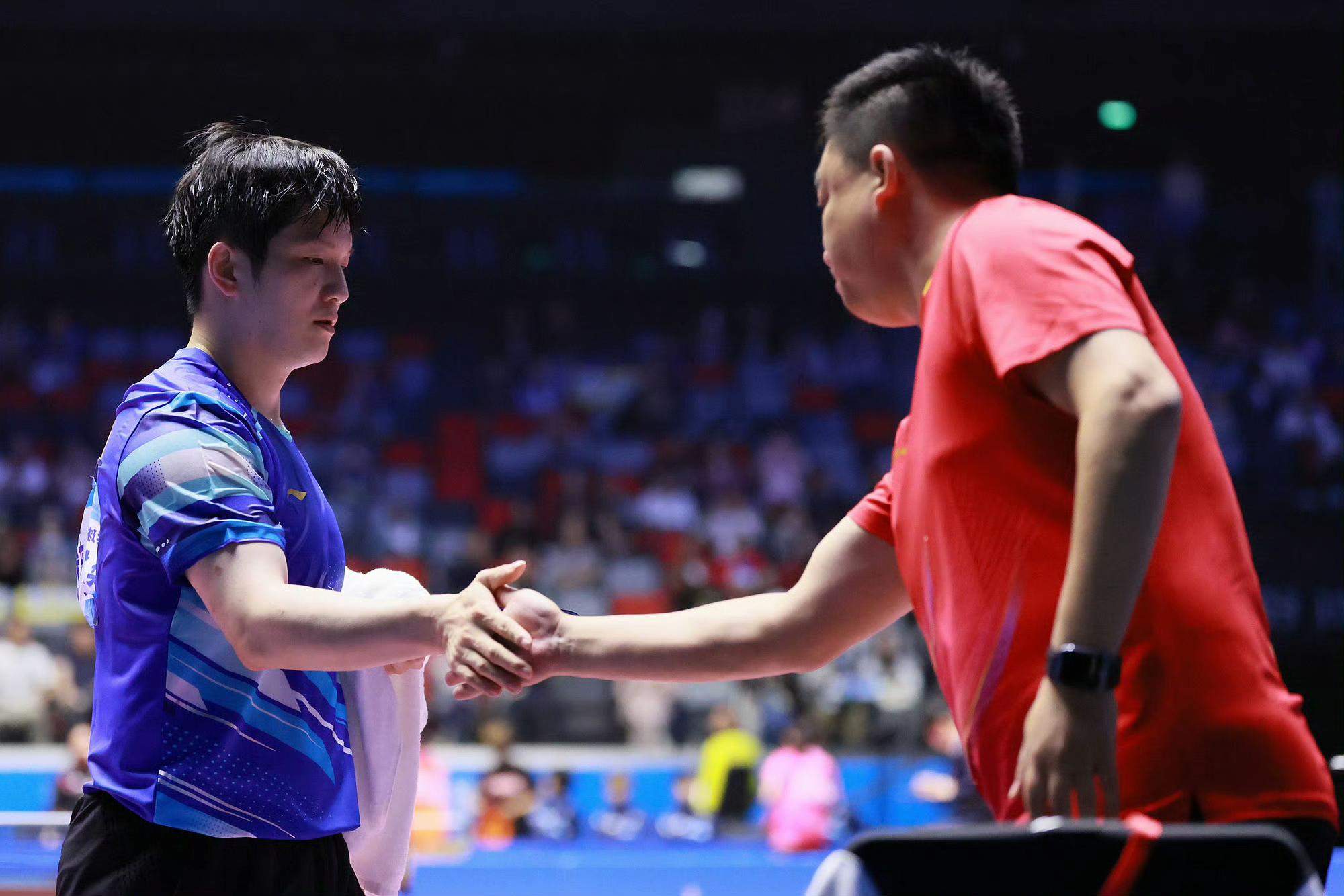 英格兰队横扫法国队，樊振东状态火热的简单介绍