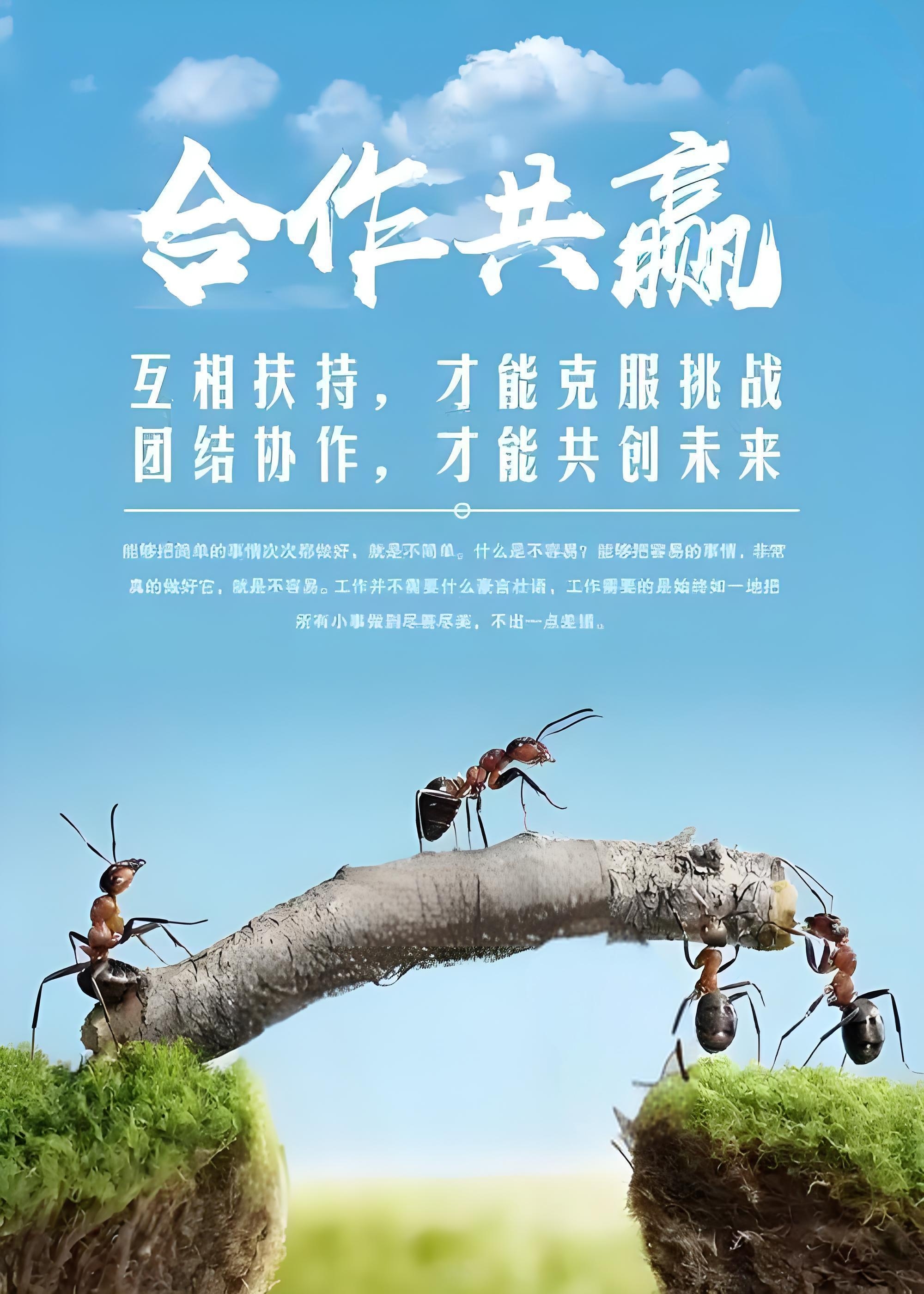 众志成城的团队精神令人动容