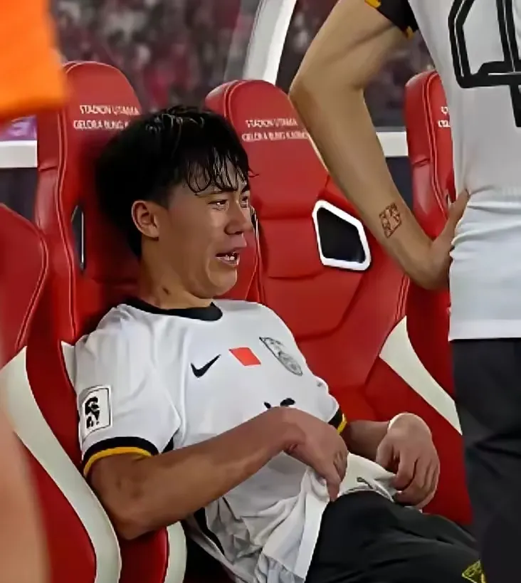 汉诺威在国内联赛中获得胜利