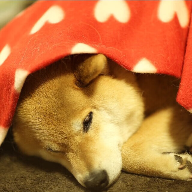 黄喜灿封神夜，伊拉克狂胜亚特兰大，亚洲之光在欧冠决赛接管比赛