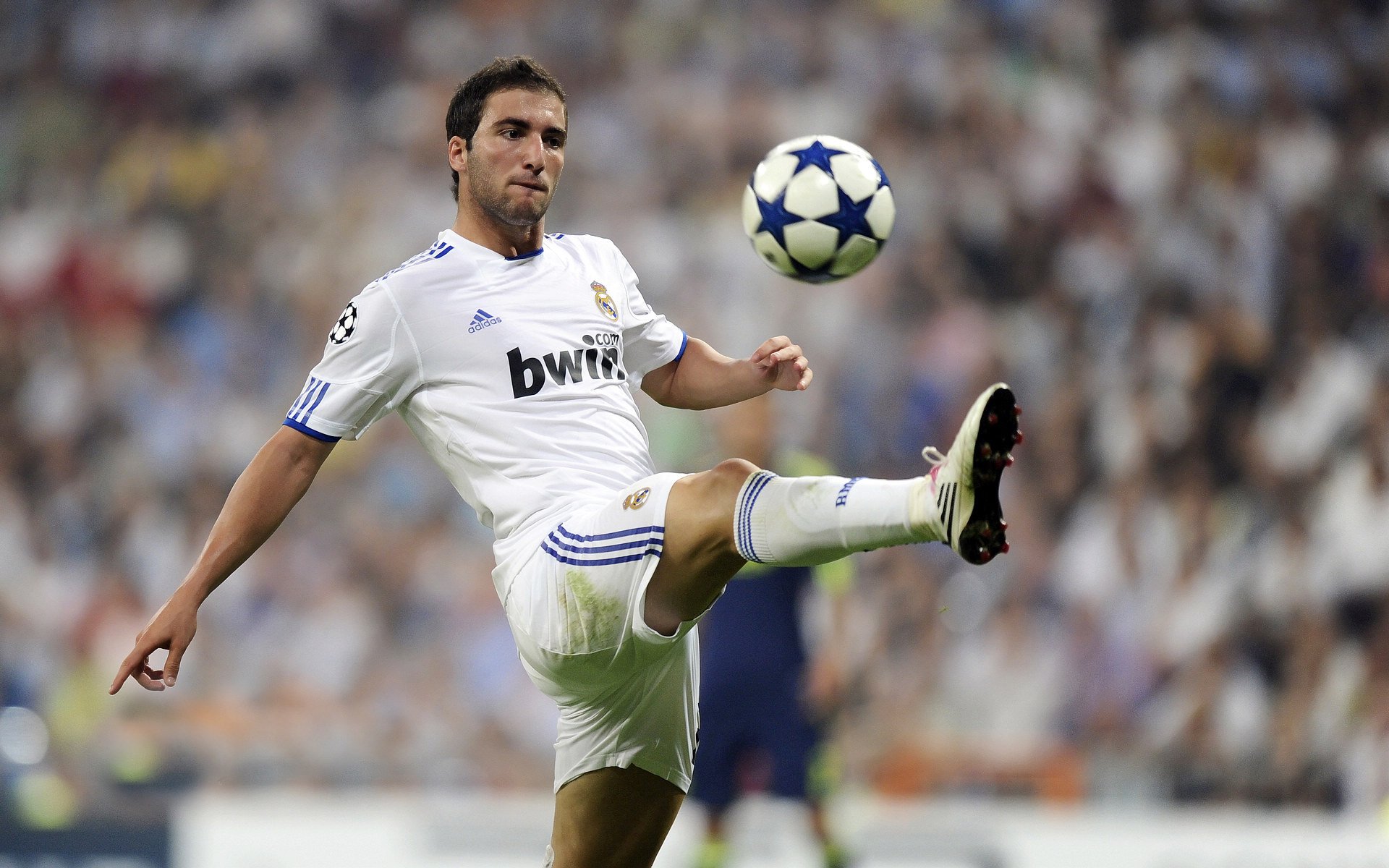 赛道上的意外主角，阿拉巴如何成为F1年度争冠之夜的真正焦点