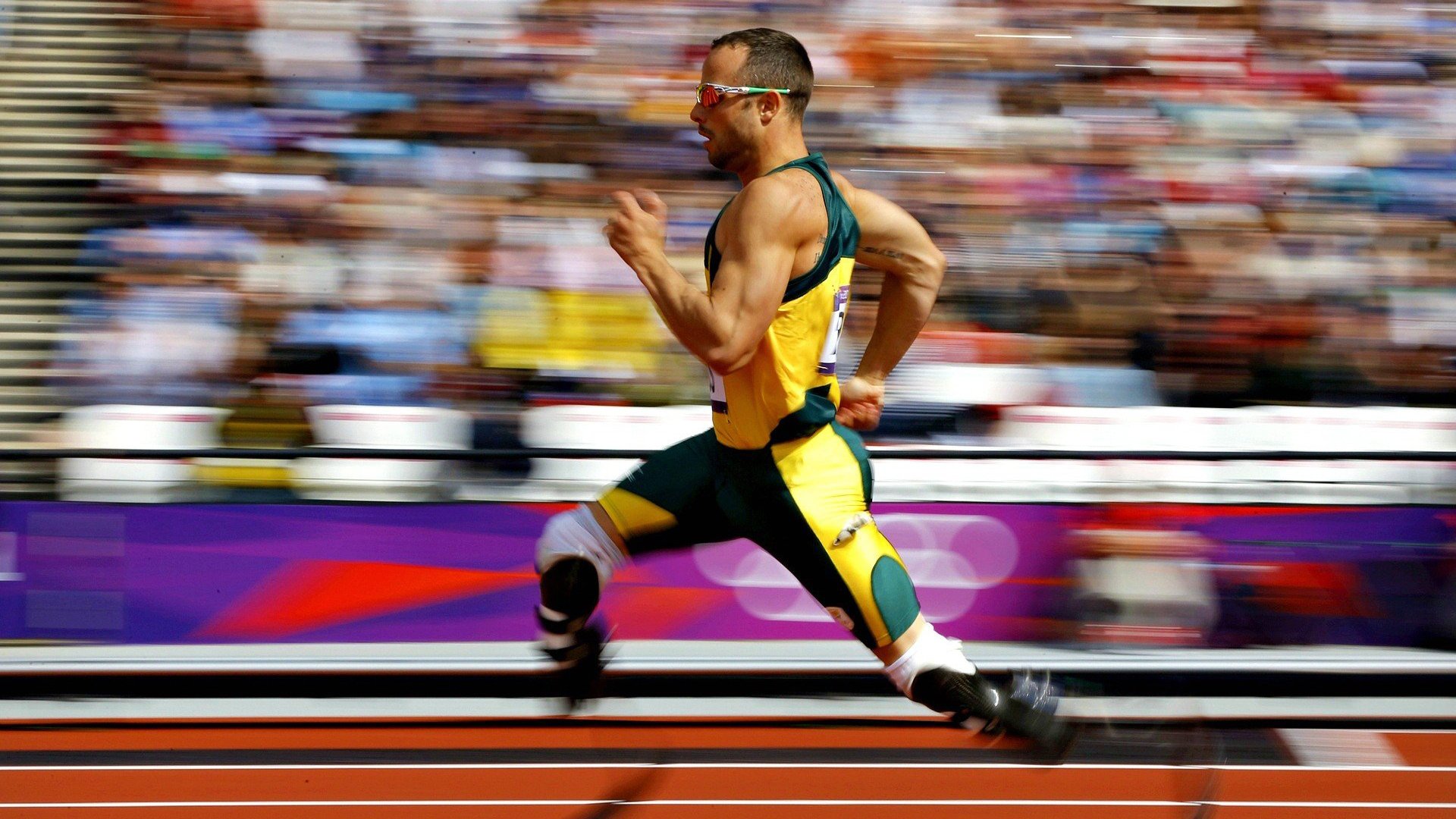 当东方闪电遭遇伊比利亚风暴,张本智和的火焰,葡萄牙队的钢铁洪流